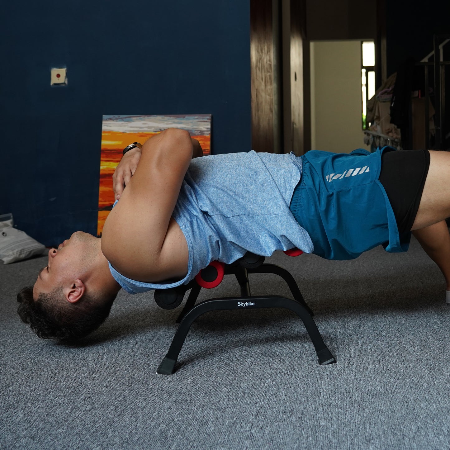 Skybike Inversion Table for PT