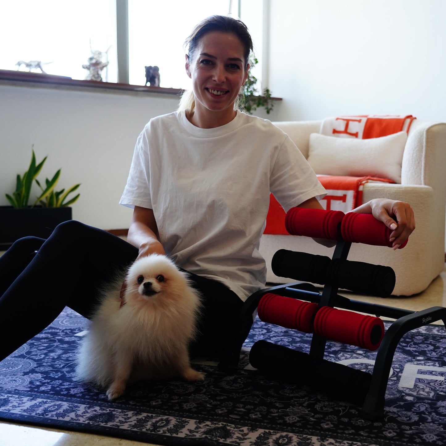 Skybike Inversion Table for PT